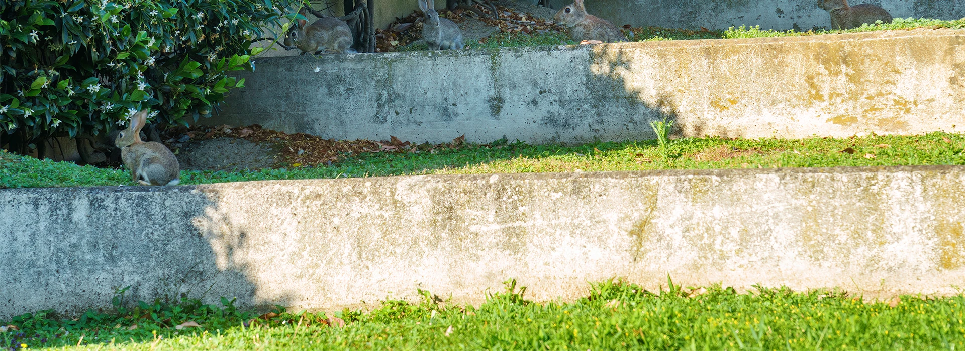 retaining wall for sloping block Gold Coast homes